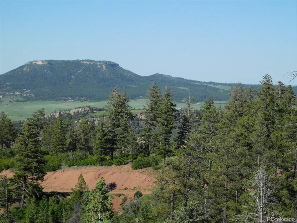 5425 Cheyenne Drive Larkspur CO 80118
