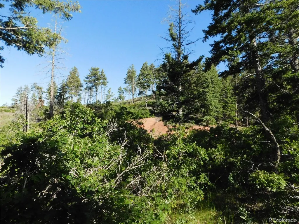 5425 Cheyenne Drive Larkspur CO 80118