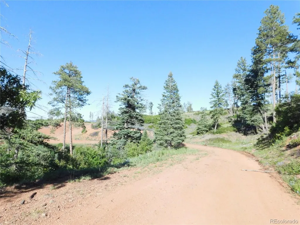 5425 Cheyenne Drive Larkspur CO 80118