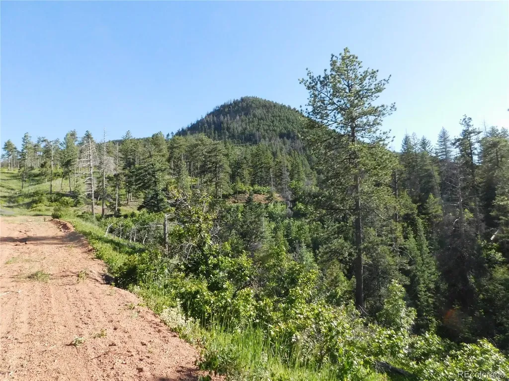 5425 Cheyenne Drive Larkspur CO 80118