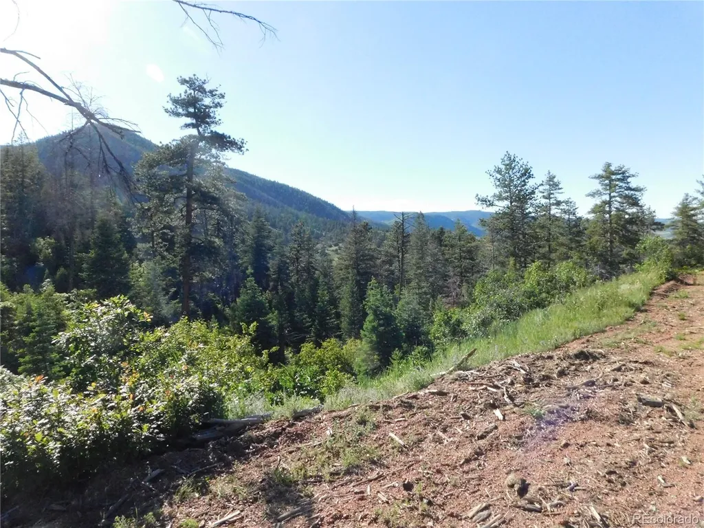 5425 Cheyenne Drive Larkspur CO 80118