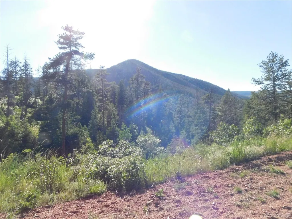 5425 Cheyenne Drive Larkspur CO 80118