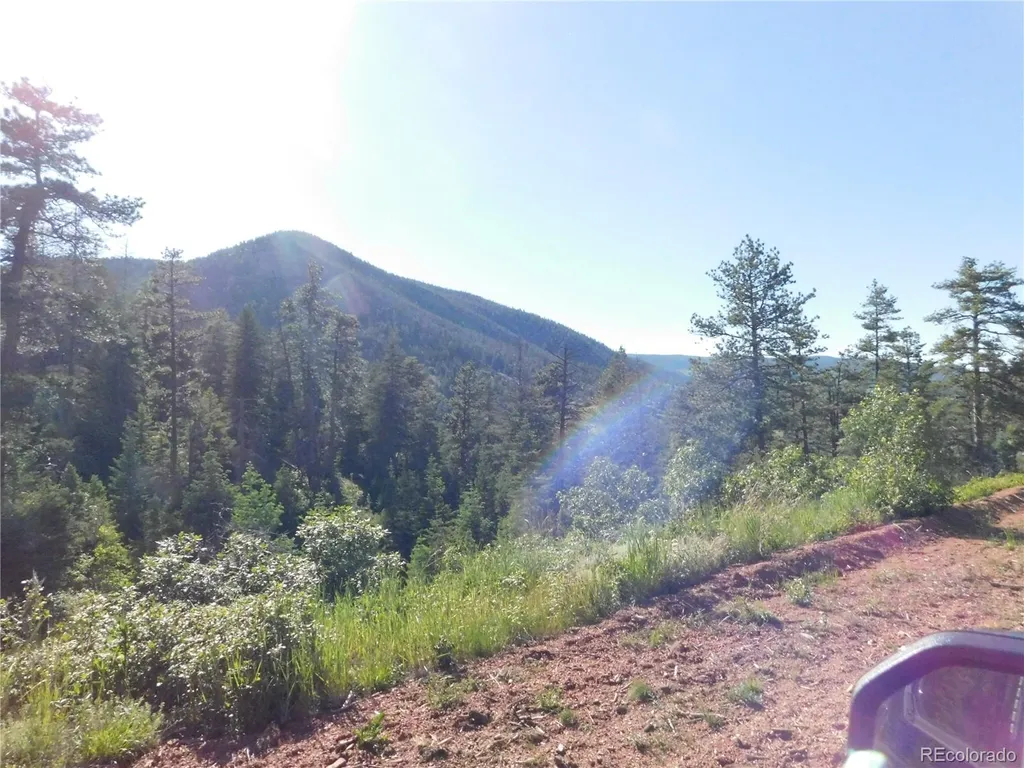 5425 Cheyenne Drive Larkspur CO 80118