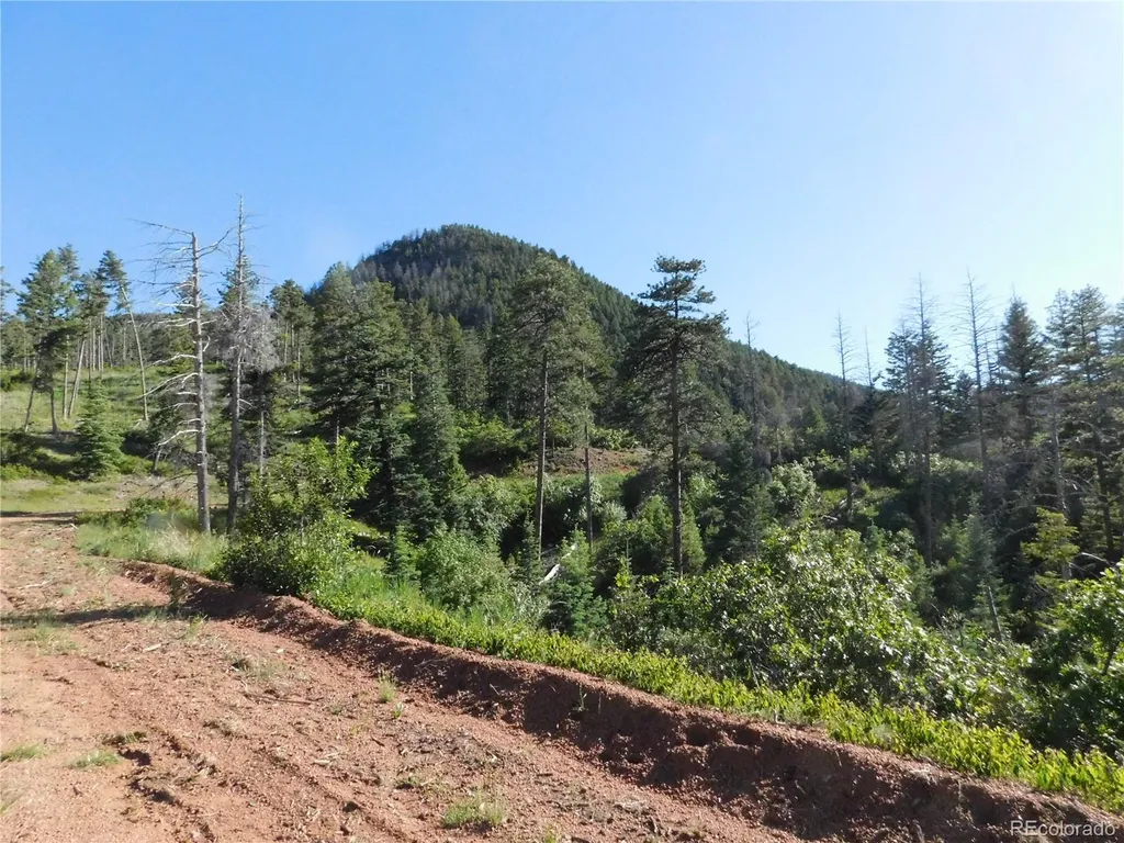 5425 Cheyenne Drive Larkspur CO 80118
