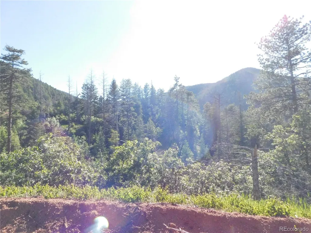 5425 Cheyenne Drive Larkspur CO 80118