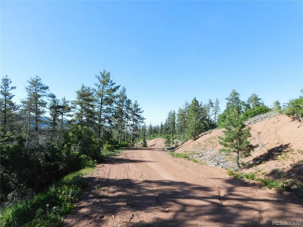 5425 Cheyenne Drive Larkspur CO 80118