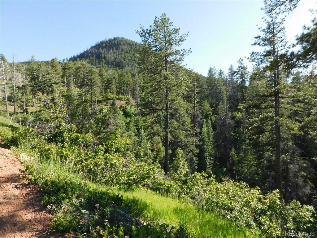 5425 Cheyenne Drive Larkspur CO 80118