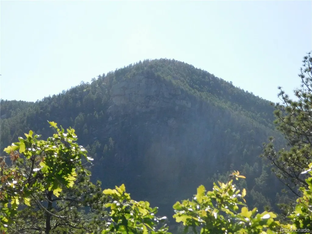 5425 Cheyenne Drive Larkspur CO 80118