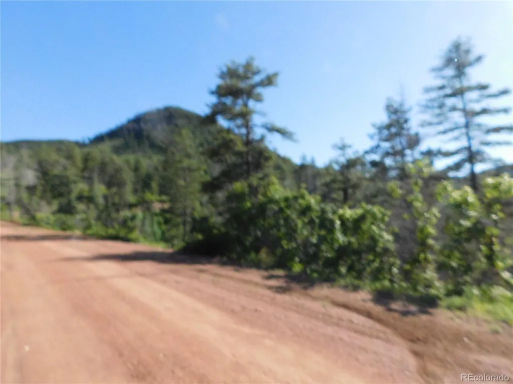 5425 Cheyenne Drive Larkspur CO 80118