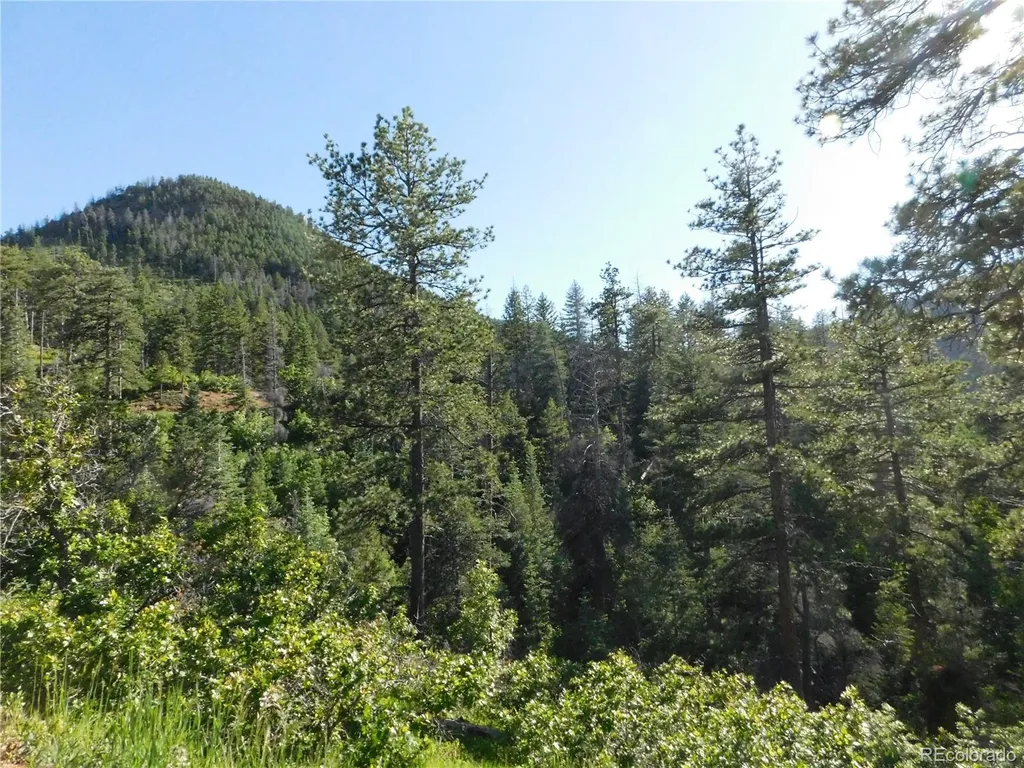 5425 Cheyenne Drive Larkspur CO 80118