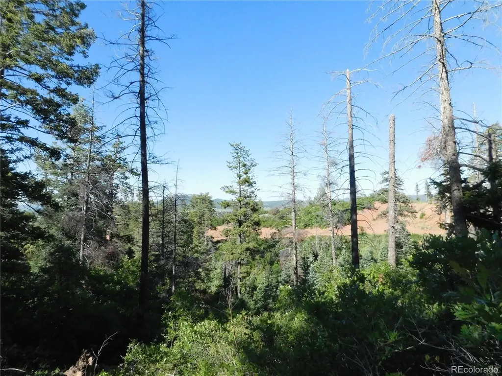 5425 Cheyenne Drive Larkspur CO 80118