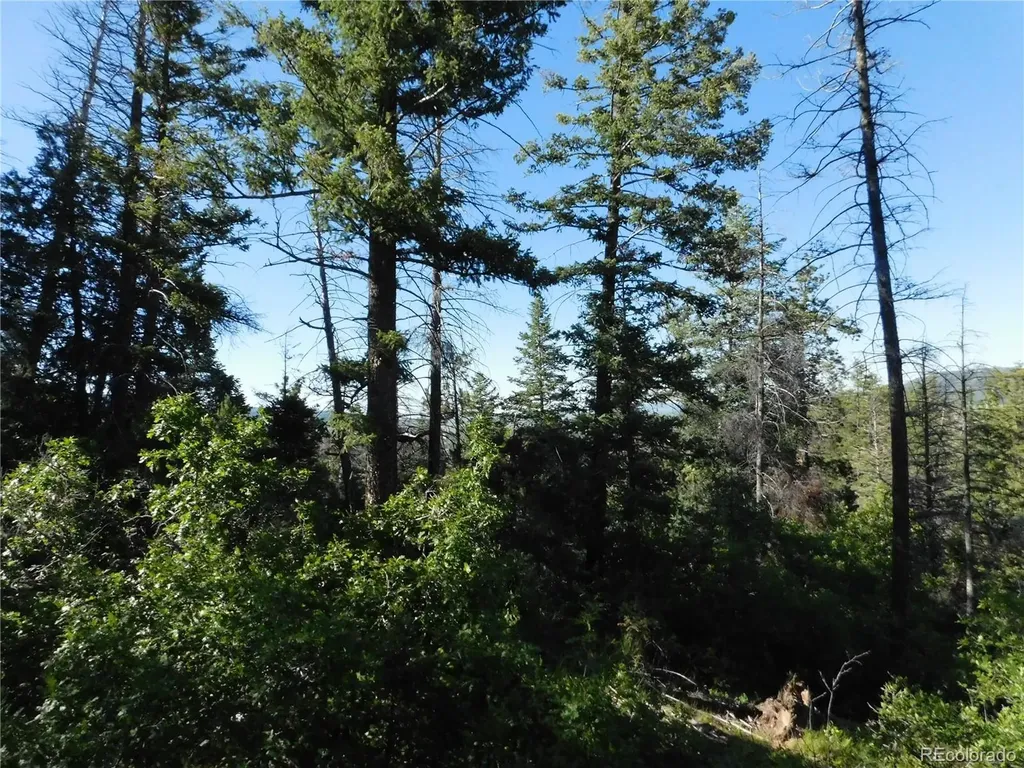 5425 Cheyenne Drive Larkspur CO 80118