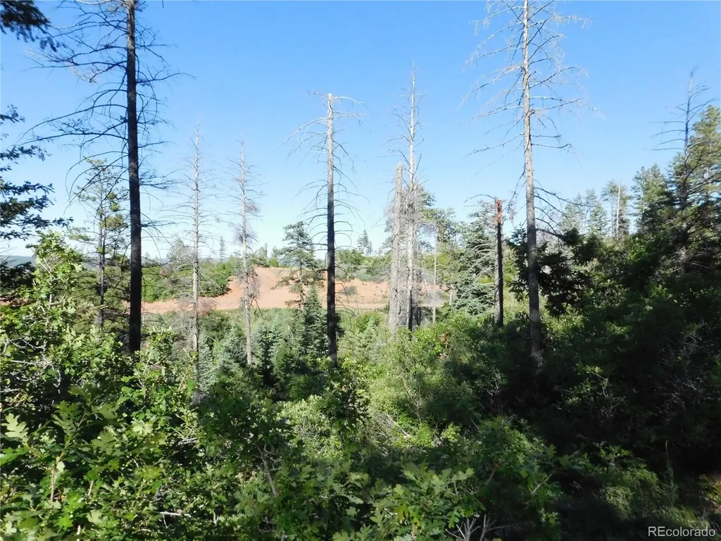 5425 Cheyenne Drive Larkspur CO 80118