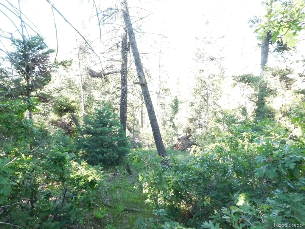 5425 Cheyenne Drive Larkspur CO 80118
