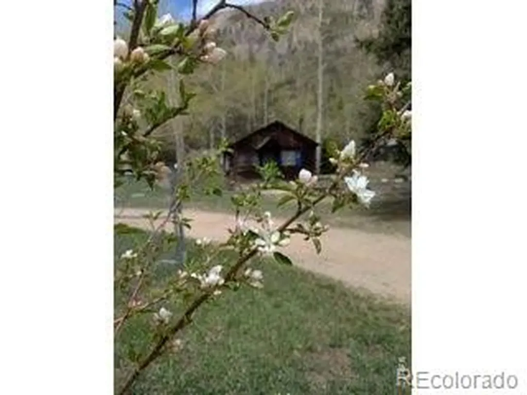 44174 Poudre Canyon Road Bellvue CO 80512
