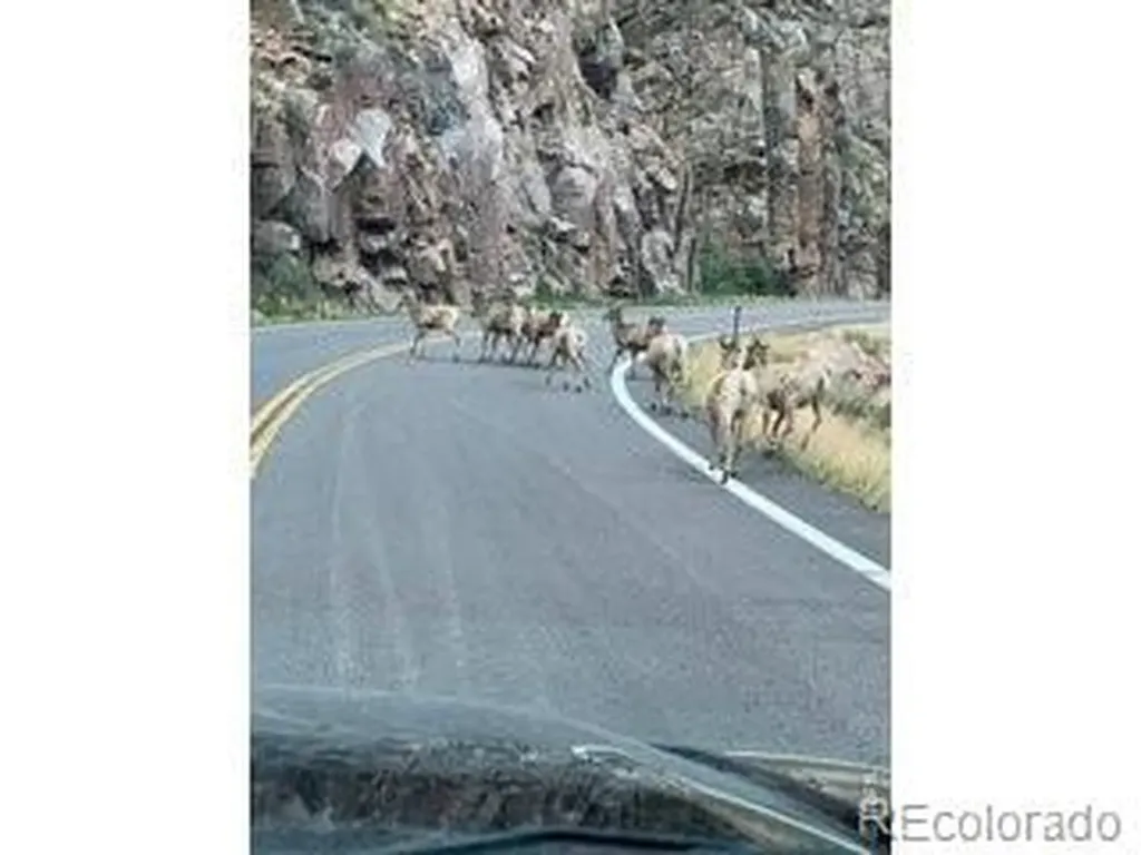 44174 Poudre Canyon Road Bellvue CO 80512