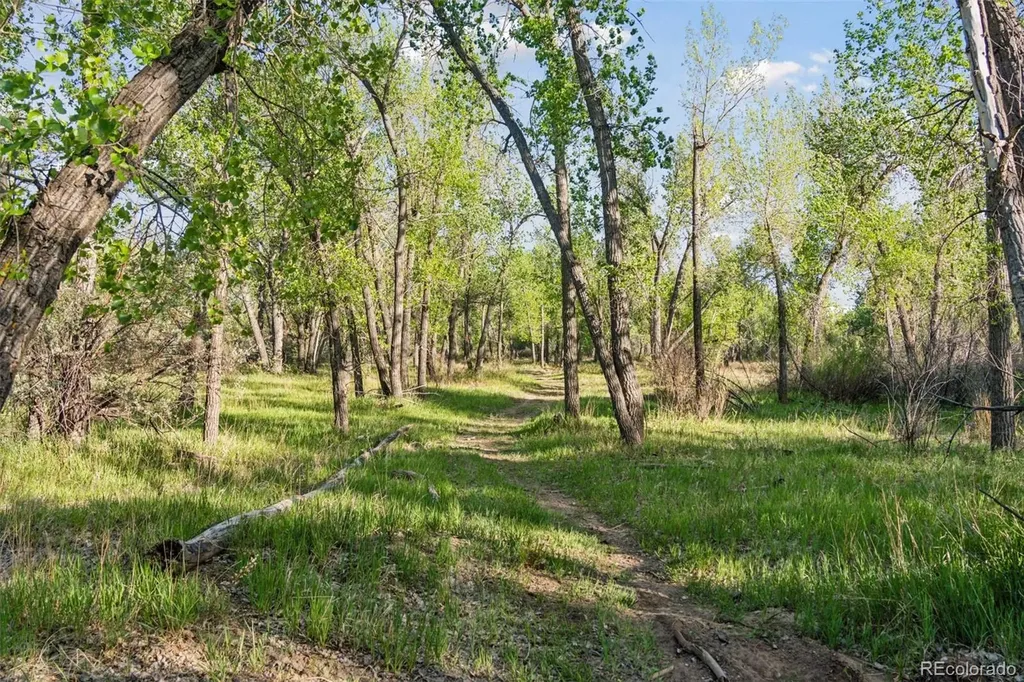 16880-16885 Old Pueblo Road Fountain CO 80817