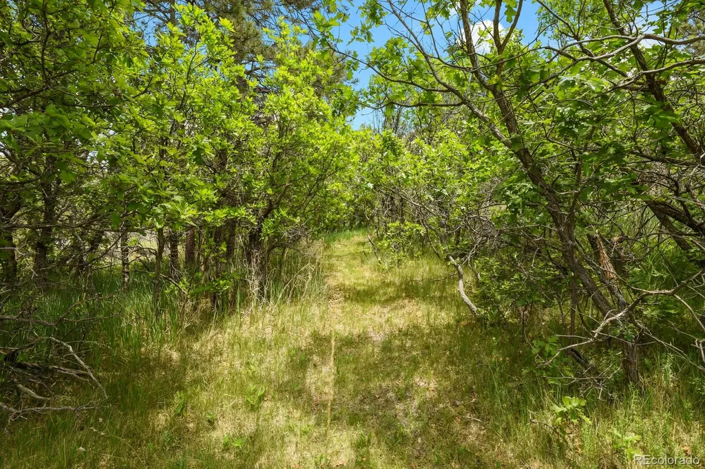 19220 Wakonda Way Monument CO 80132