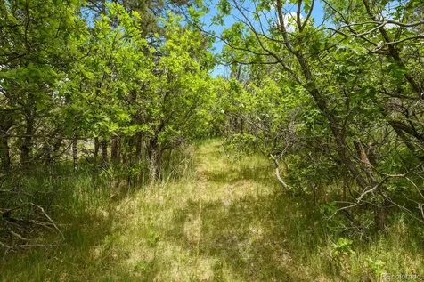 19220 Wakonda Way Monument CO 80132