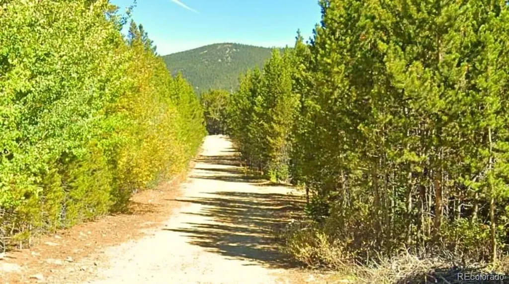 U3 Lot 339 Eva Road Idaho Springs CO 80452