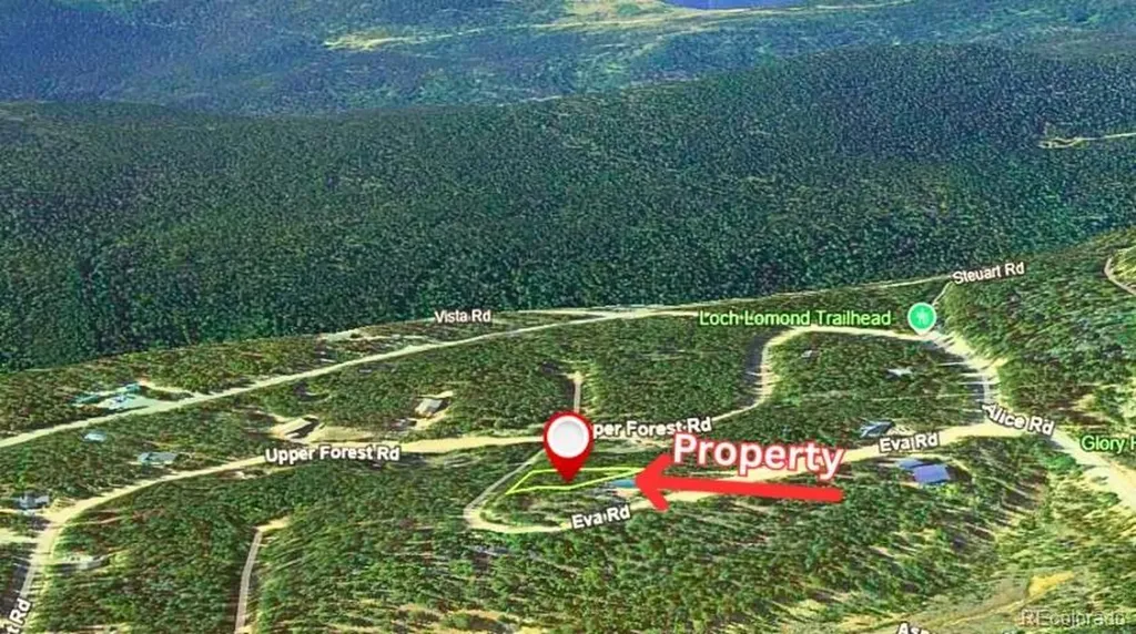U3 Lot 339 Eva Road Idaho Springs CO 80452