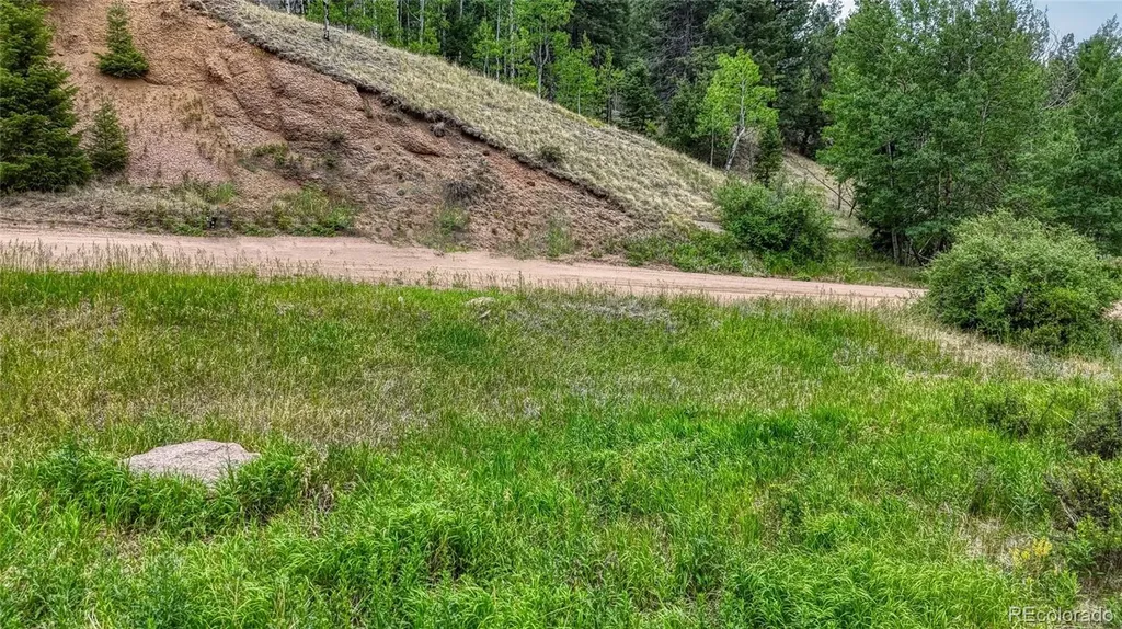 830 Pinon Lane Florissant CO 80816