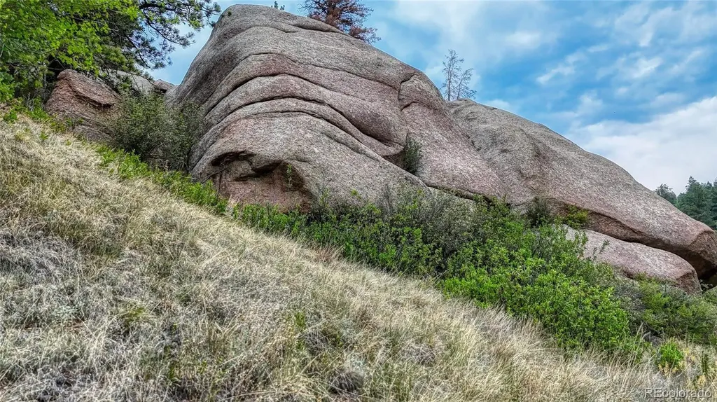 830 Pinon Lane Florissant CO 80816