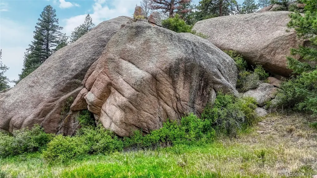 830 Pinon Lane Florissant CO 80816