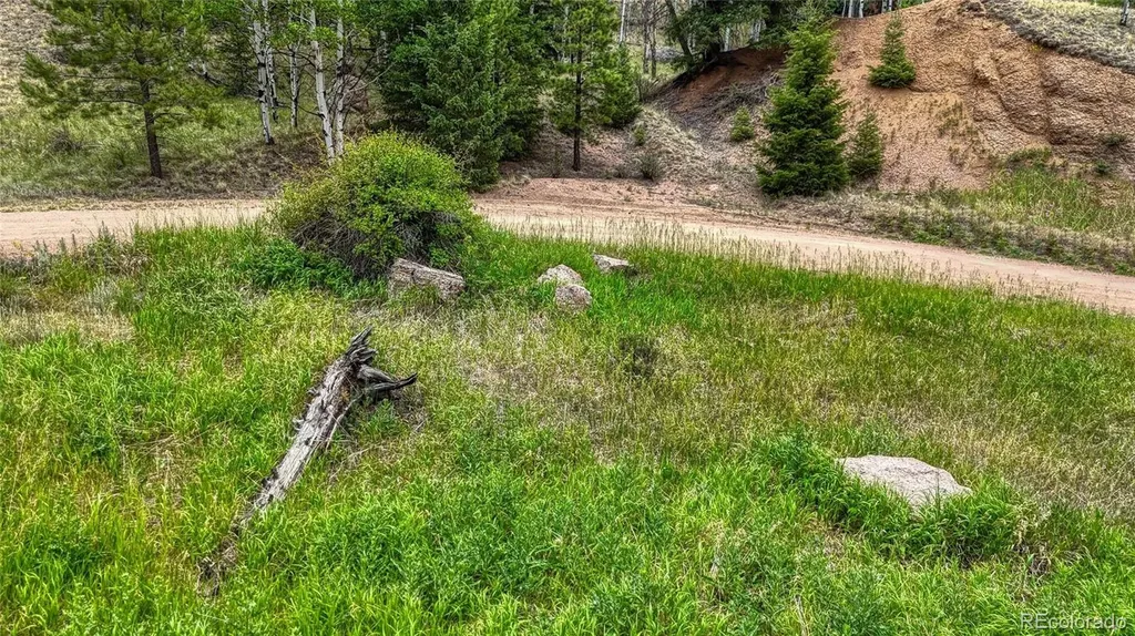 830 Pinon Lane Florissant CO 80816