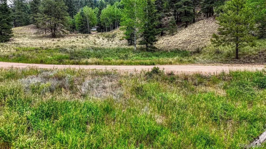 830 Pinon Lane Florissant CO 80816