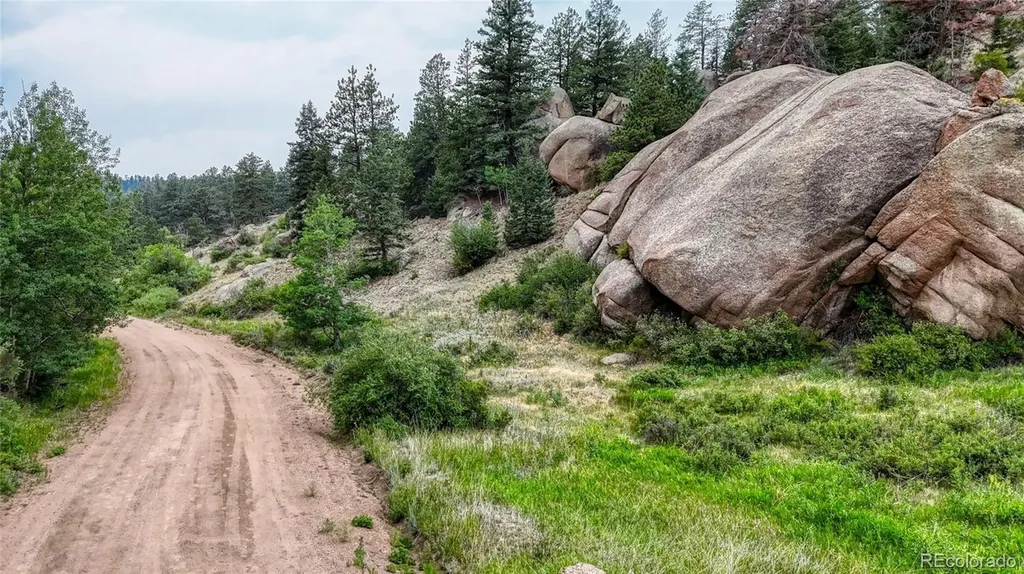 830 Pinon Lane Florissant CO 80816