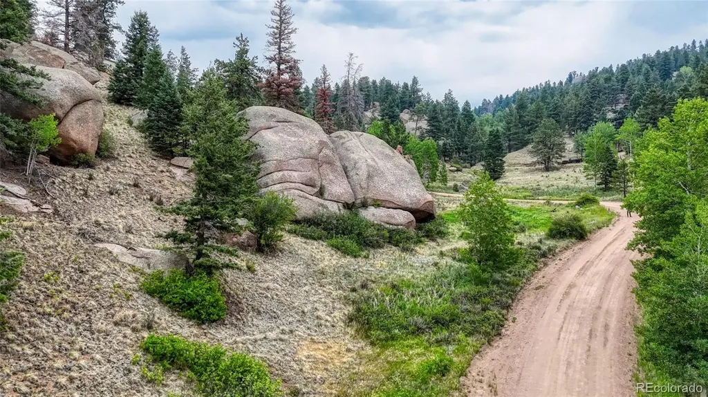 830 Pinon Lane Florissant CO 80816
