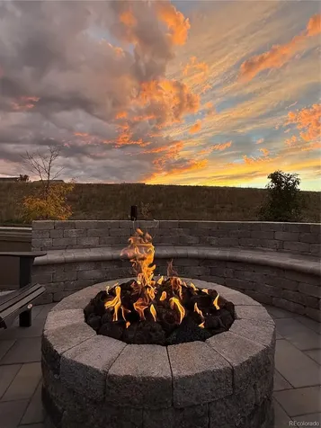3341 Greenery Drive Castle Rock CO 80109