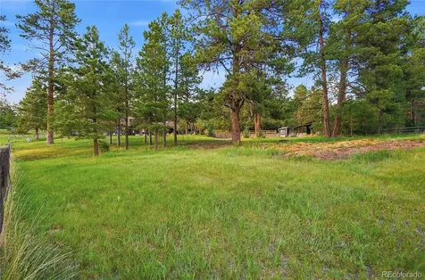 10462 Tomichi Drive Franktown CO 80116