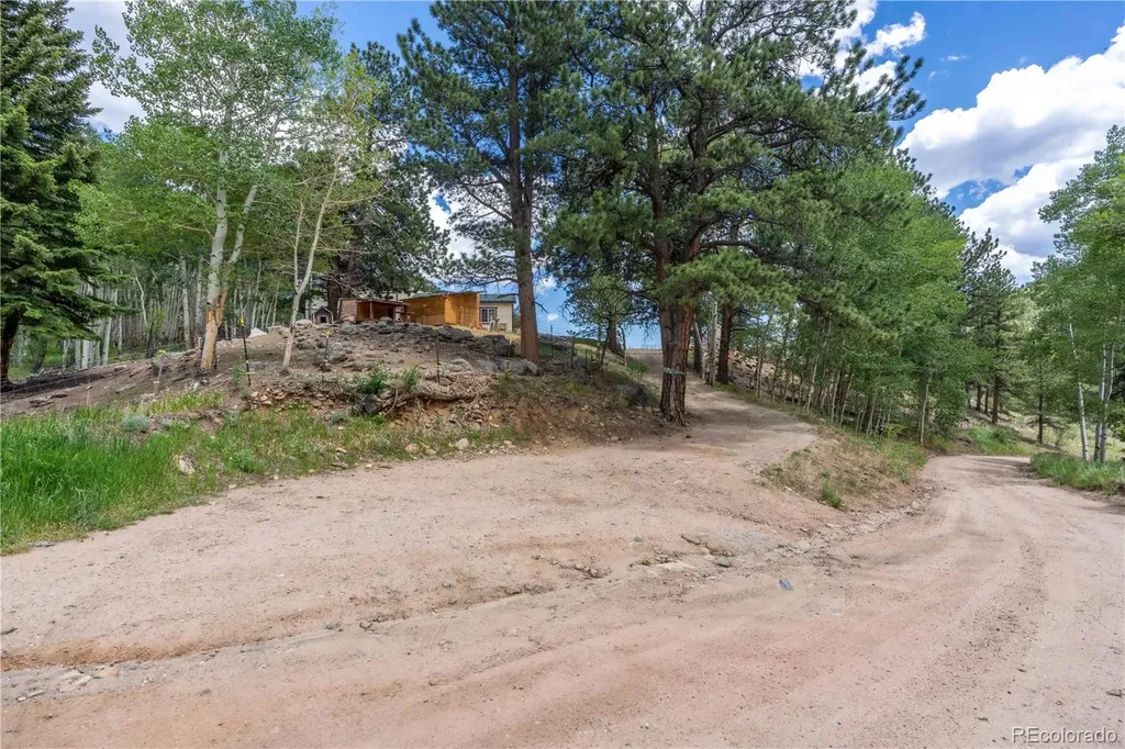 80 Heide Road Shawnee CO 80475