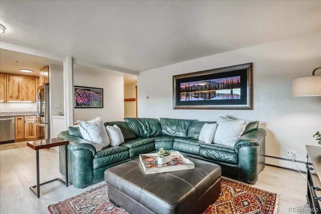 365 Salt Lick Circle Silverthorne CO 80498