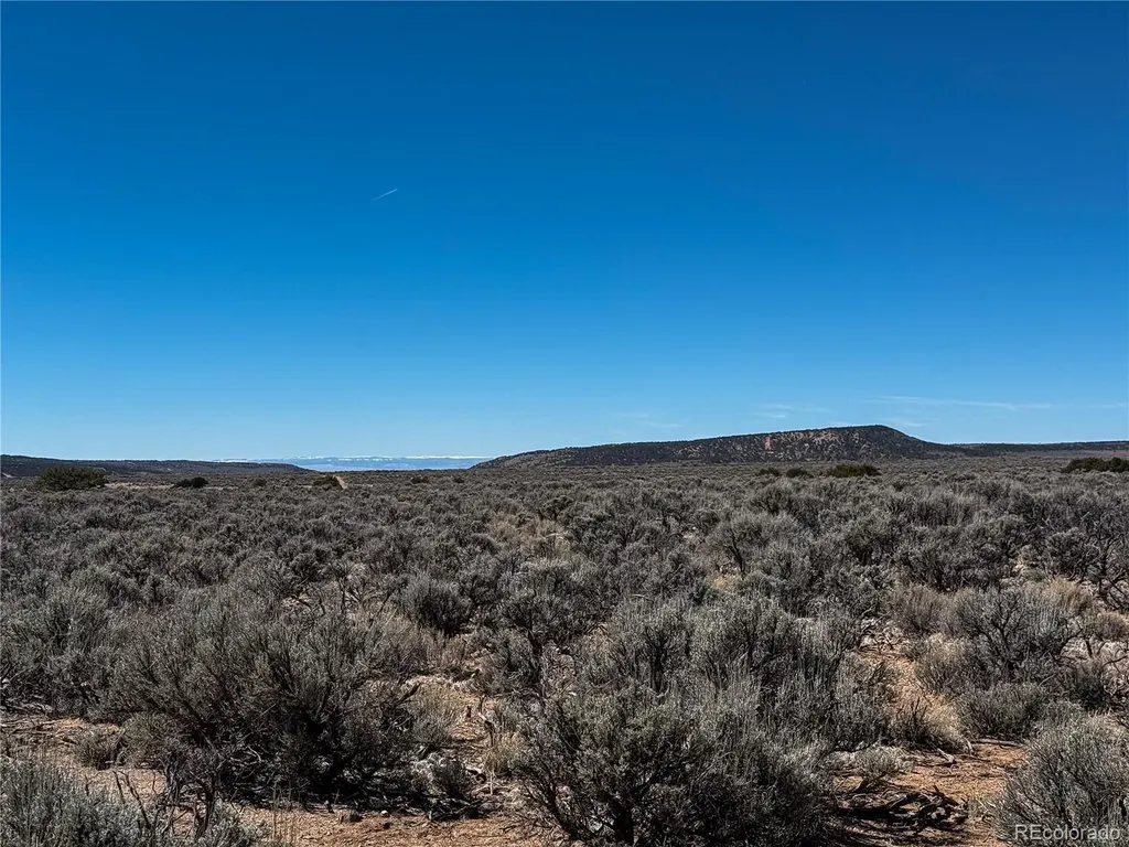 Lot 2884 Mcdonnell Fort Garland CO 81133