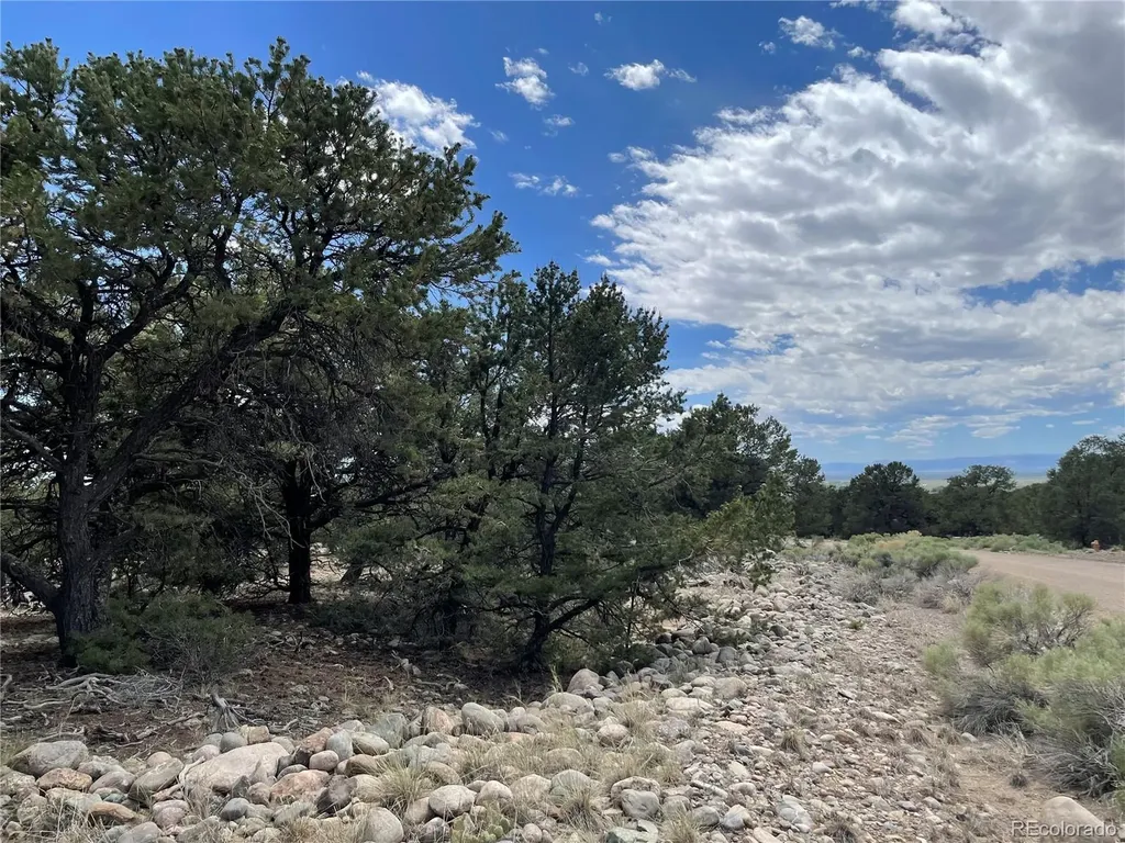 3855 Jubilant Way Crestone CO 81131