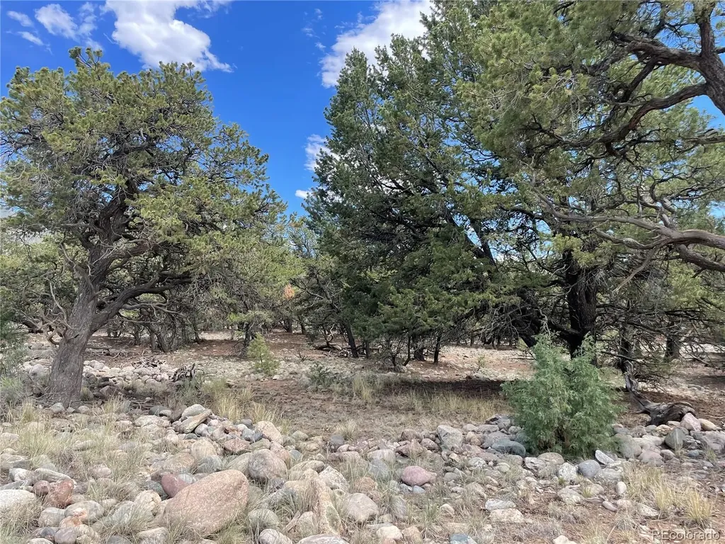 3855 Jubilant Way Crestone CO 81131
