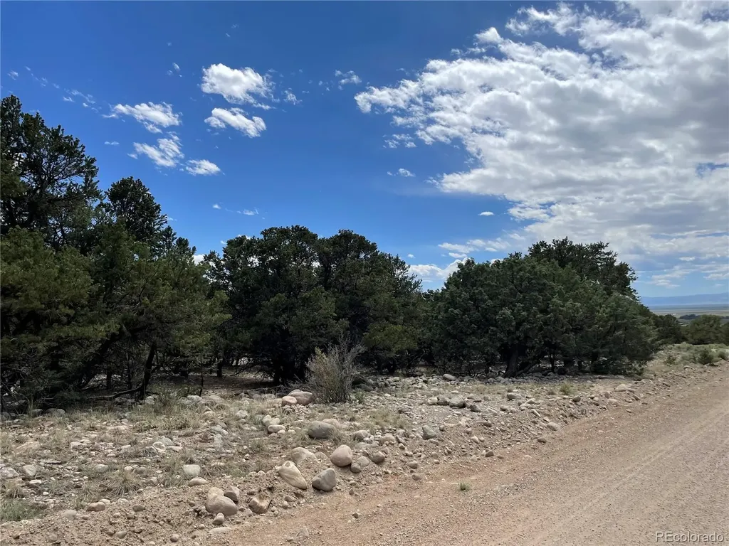 3855 Jubilant Way Crestone CO 81131