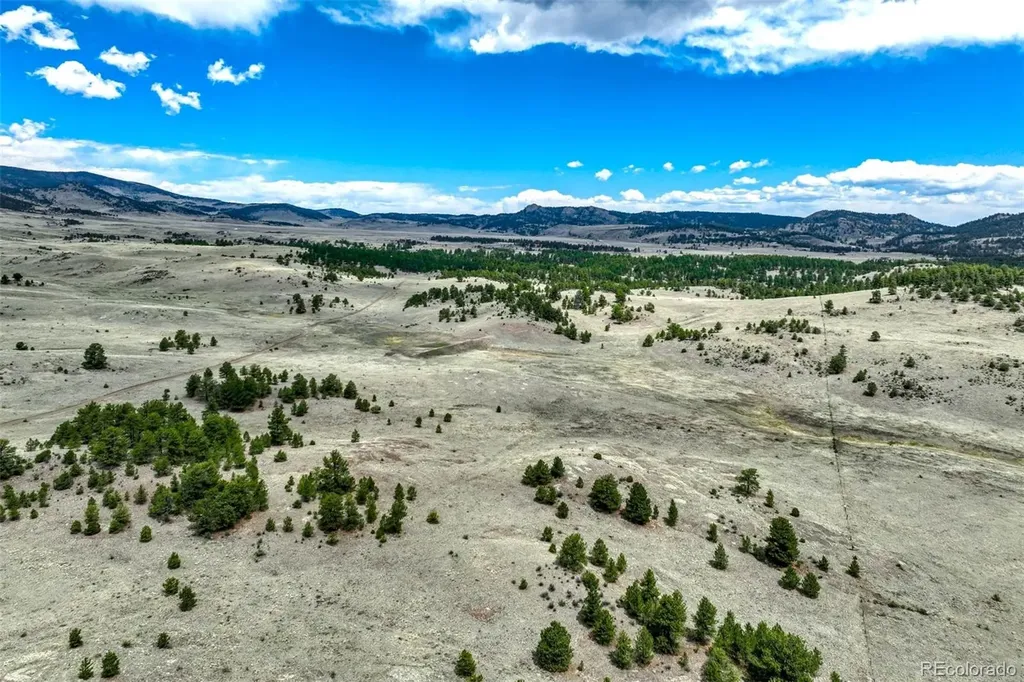 0 Pinto Trail Guffey CO 80820