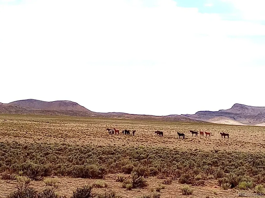 40 Acres County Road 27 San Acacio CO 81151