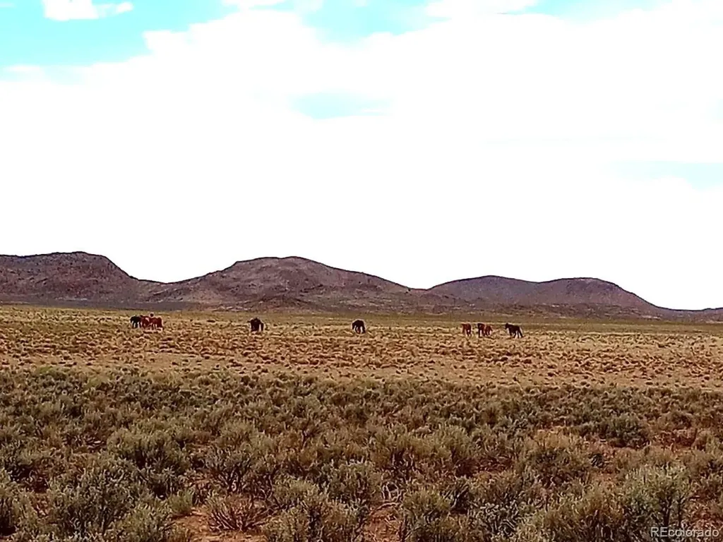 40 Acres County Road 27 San Acacio CO 81151