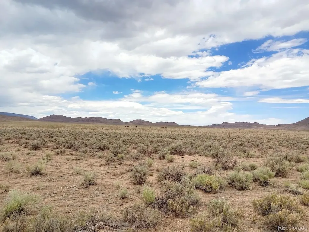 40 Acres County Road 27 San Acacio CO 81151