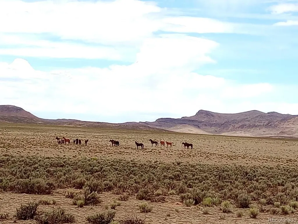 40 Acres County Road 27 San Acacio CO 81151