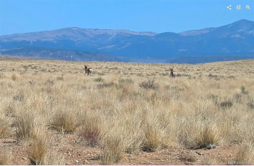 Lot 4 Grandby Road Blanca CO 81123