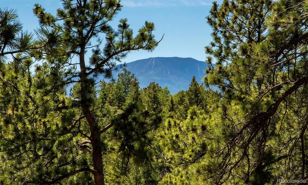 25997 Mountain View Road Golden CO 80401