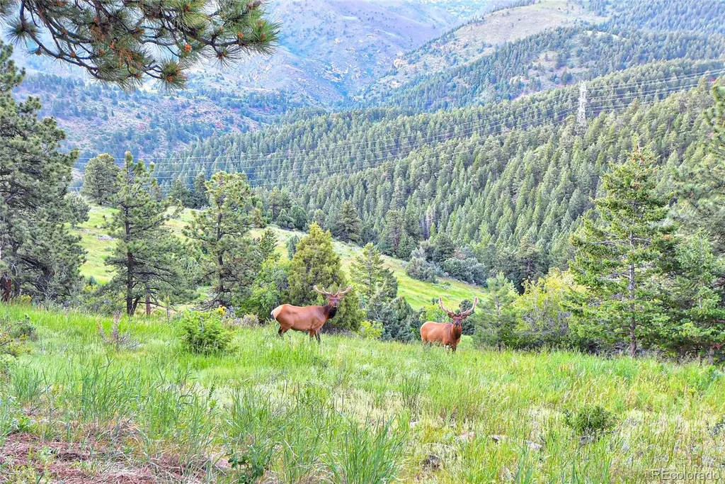 25997 Mountain View Road Golden CO 80401