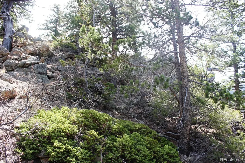 00 County Road 308 Idaho Springs CO 80436