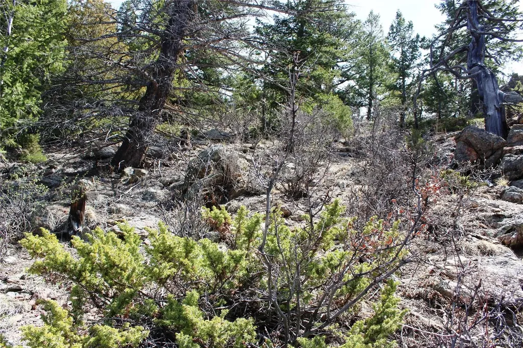 00 County Road 308 Idaho Springs CO 80436